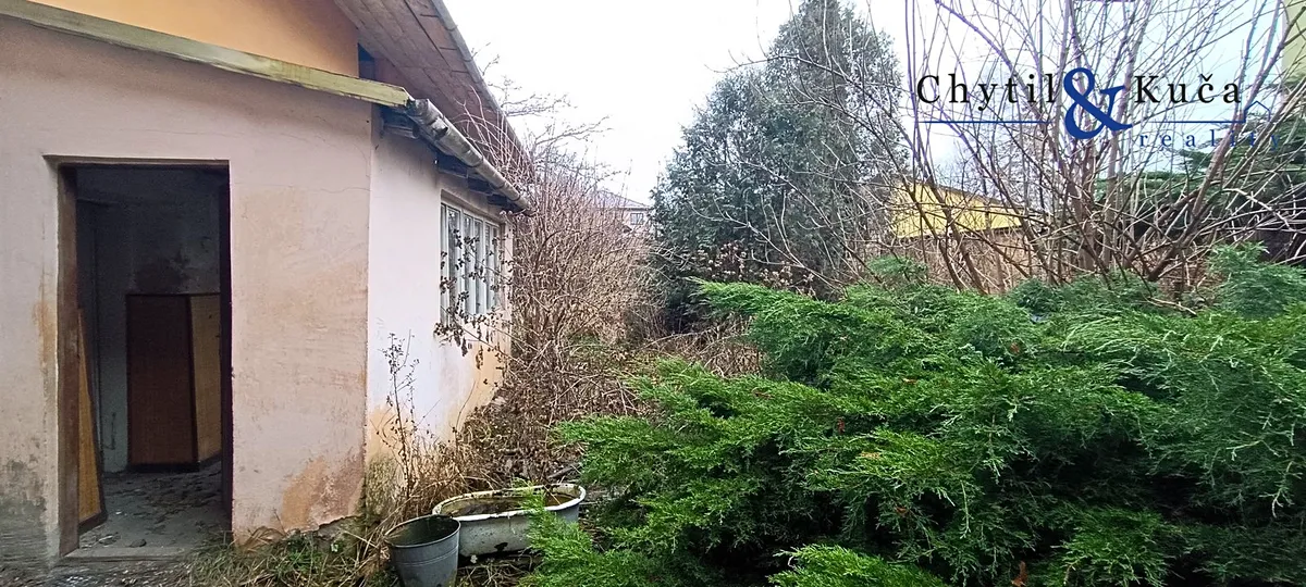 Fotka 10 z 16